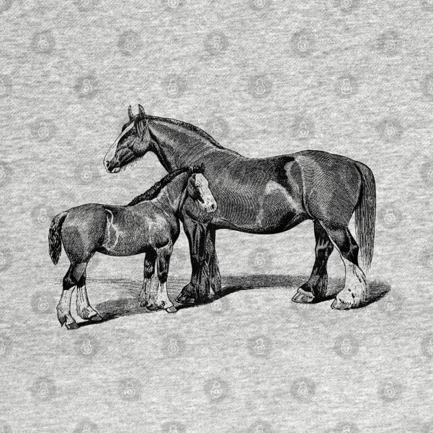 Shire Mare and Foal Black and White Horse Illustration by Biophilia